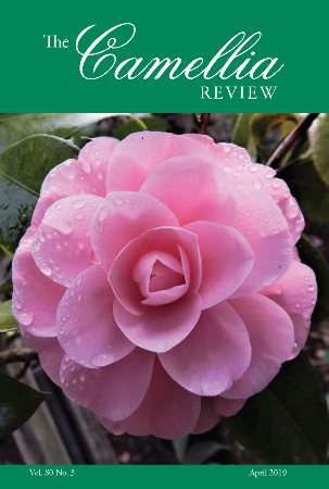 cr/Vol 80/CR-0419